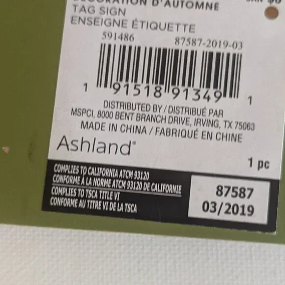 NWT Rustic Green Wood 'Blessed' Sign Farmhouse Summer Home Decor Plaque Michaels - Picture 4 of 4